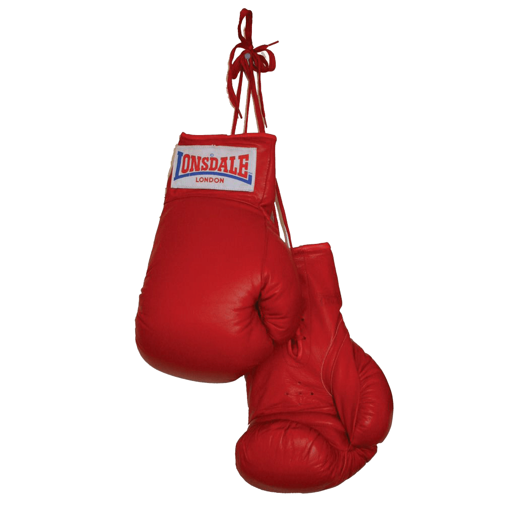 Red Boxing Gloves Hanging With Training Label Protective Gear PNG With Clear Background