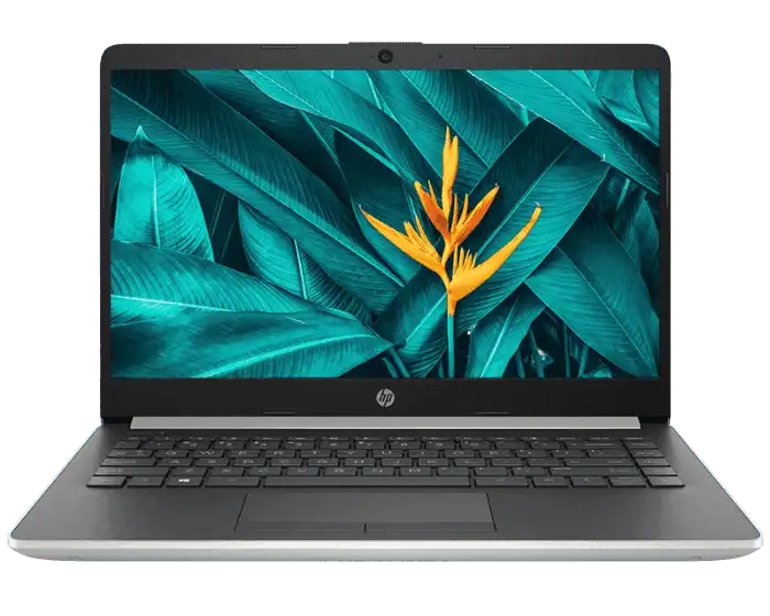 Laptop Computer With Tropical Green Bird Of Paradise Wallpaper