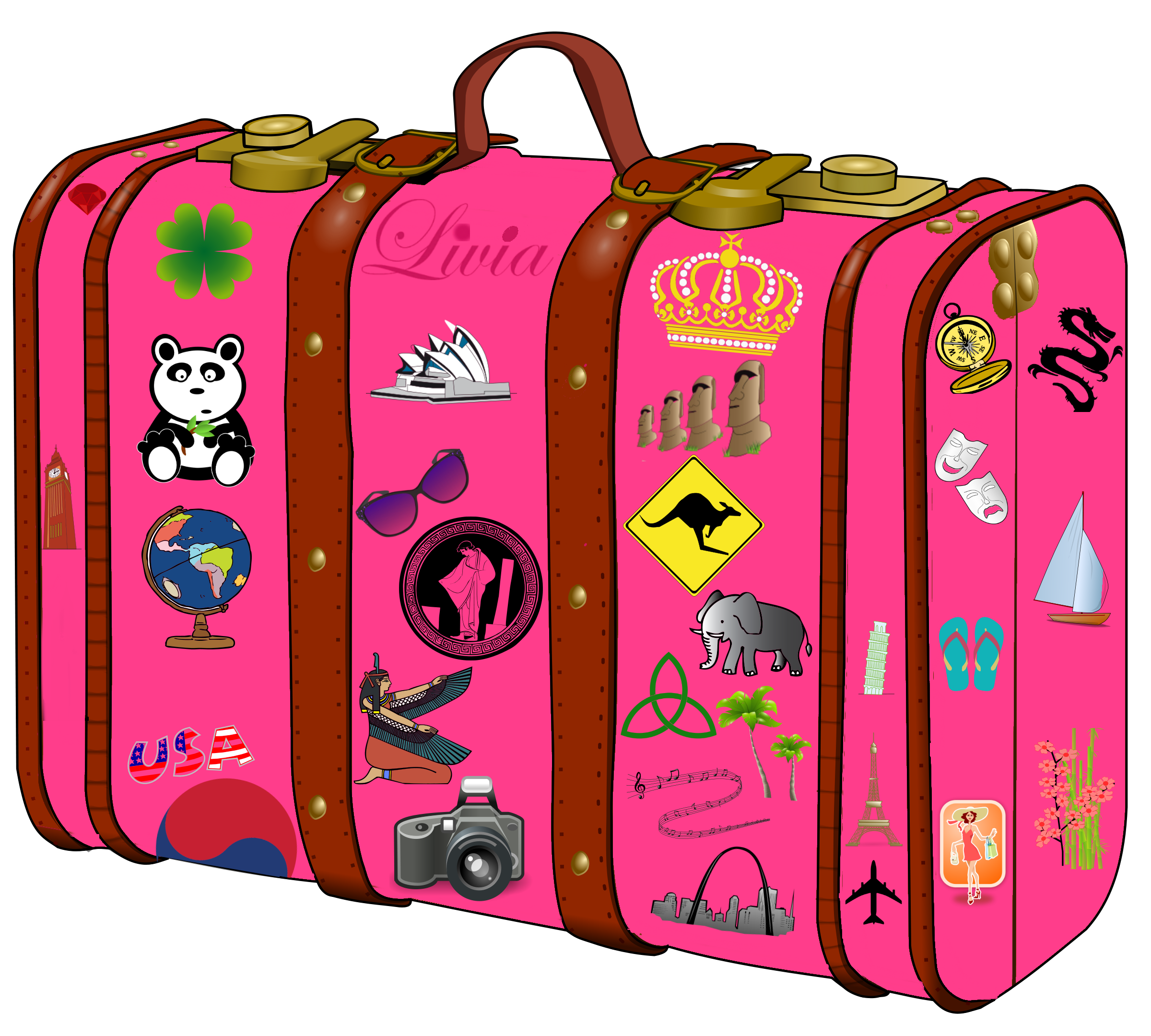 Pink Childrens Rolling Luggage Set With Cute Cartoon Character Prints