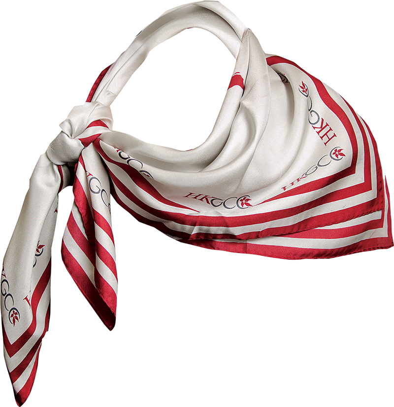 White Red And Gray Striped Silk Square Scarf With Printed Pattern