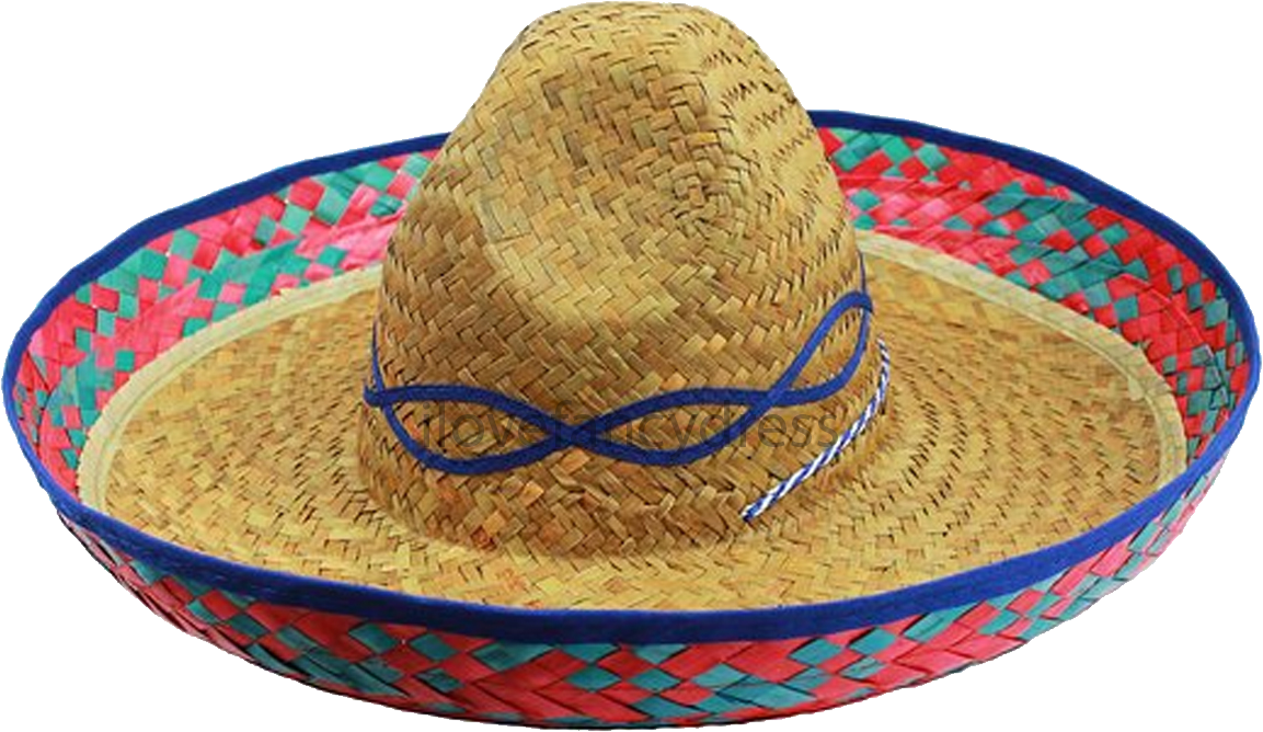 Natural Straw Sombrero With Blue Pink And Green Embroidered Brim