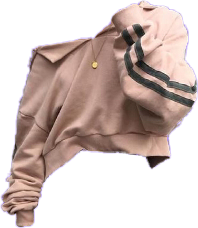 Dusty Pink Cropped Knit Sweater With Long Sleeves Isolated PNG Clipart