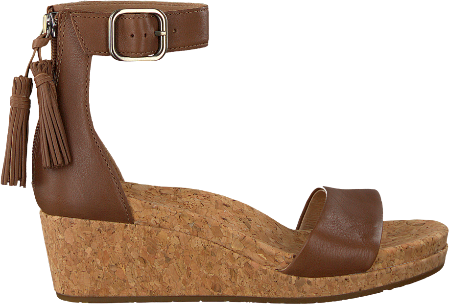 Brown Wedge Sandal With Ankle Strap Buckle And Decorative Tassels Transparent PNG