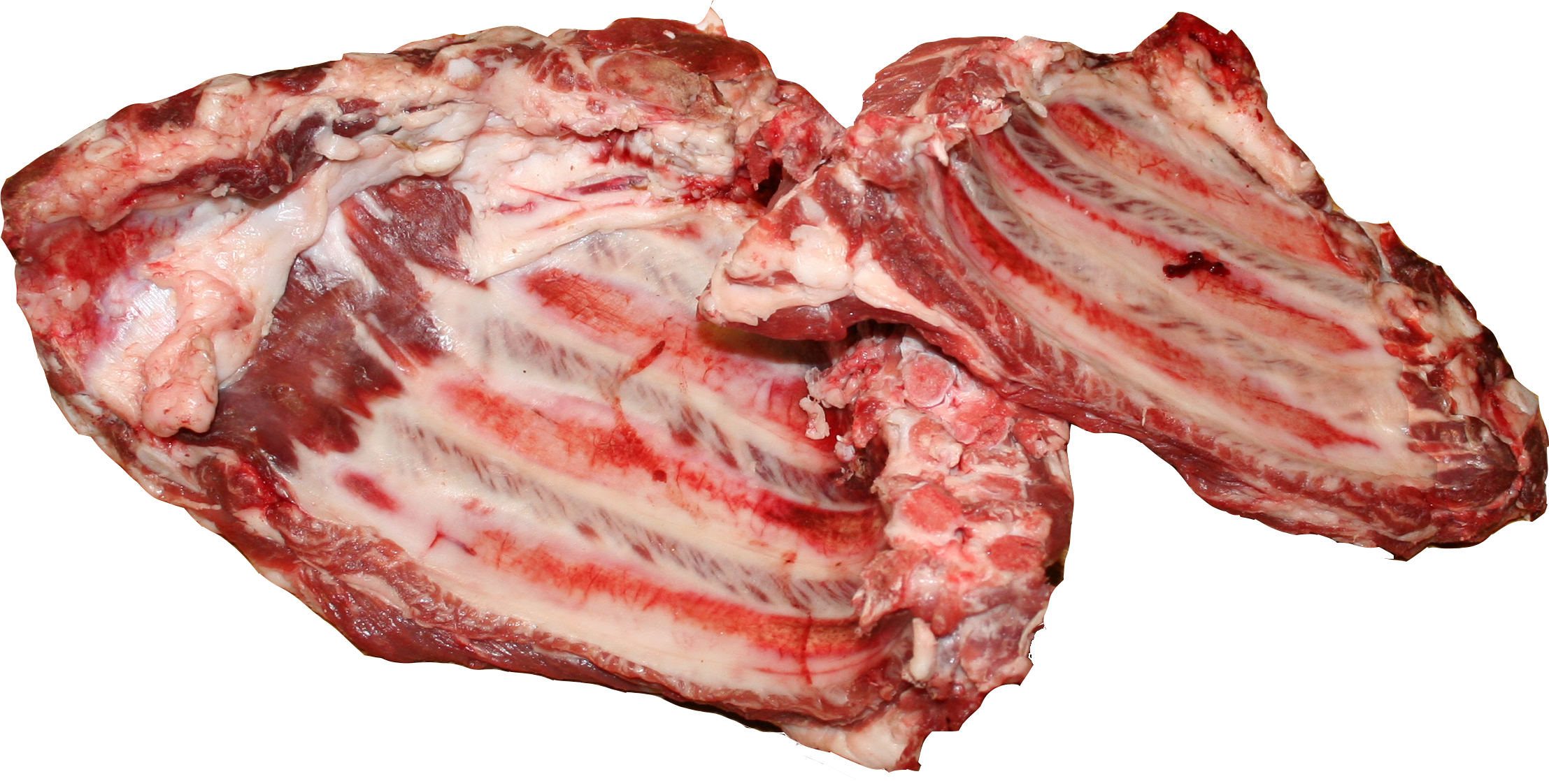 Raw Beef Short Ribs With Exposed Bones And Rich Red Meat PNG Graphic