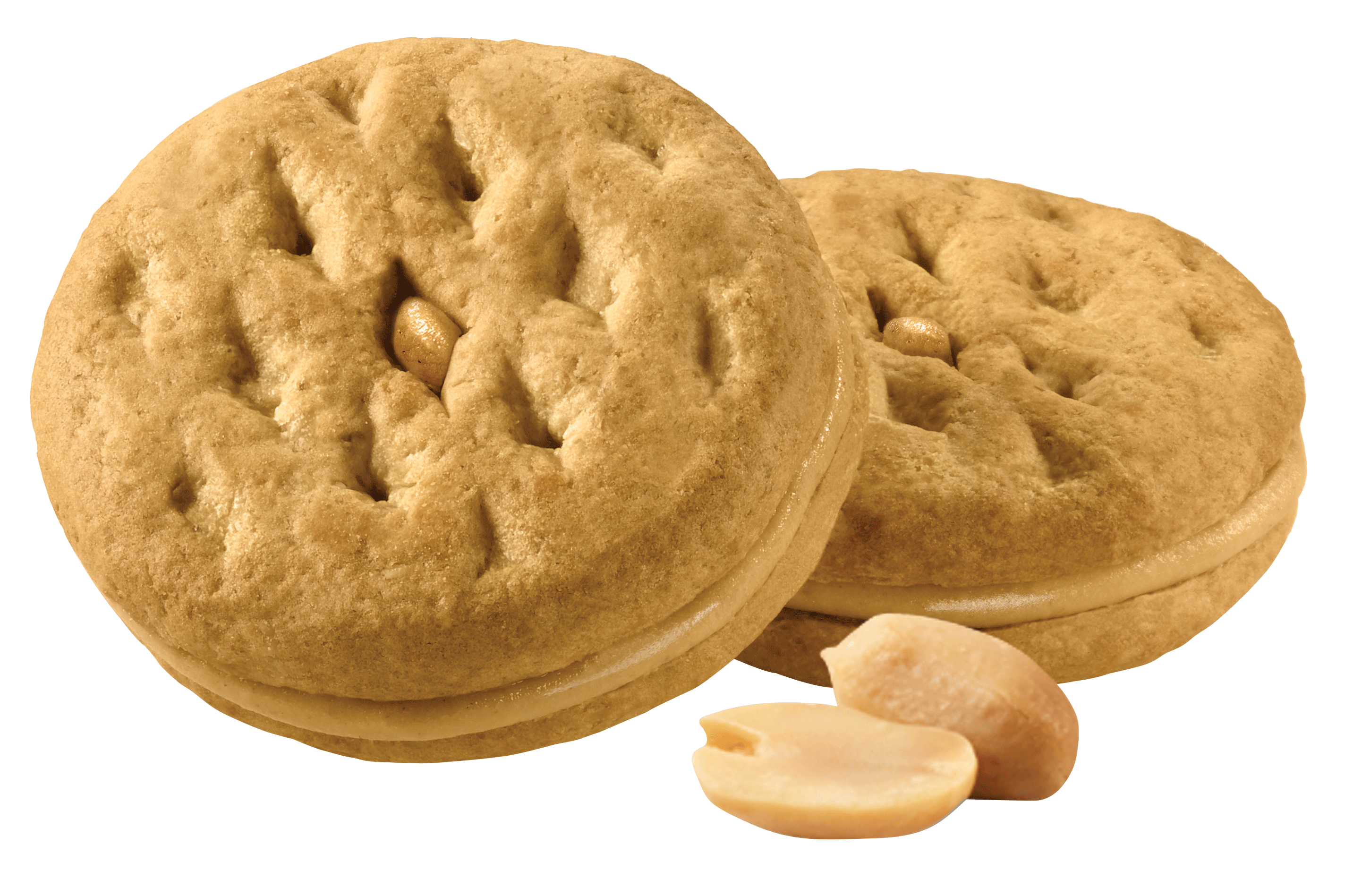 Round Salted Crackers With Small Perforated Holes And Broken Pieces PNG Image