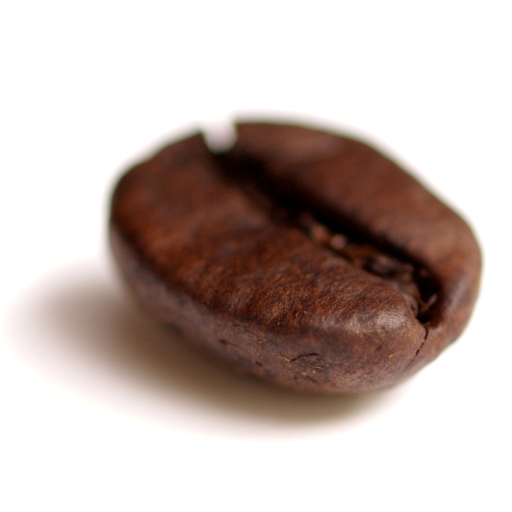 Close Up Single Roasted Coffee Bean With Soft Shadow PNG Photo