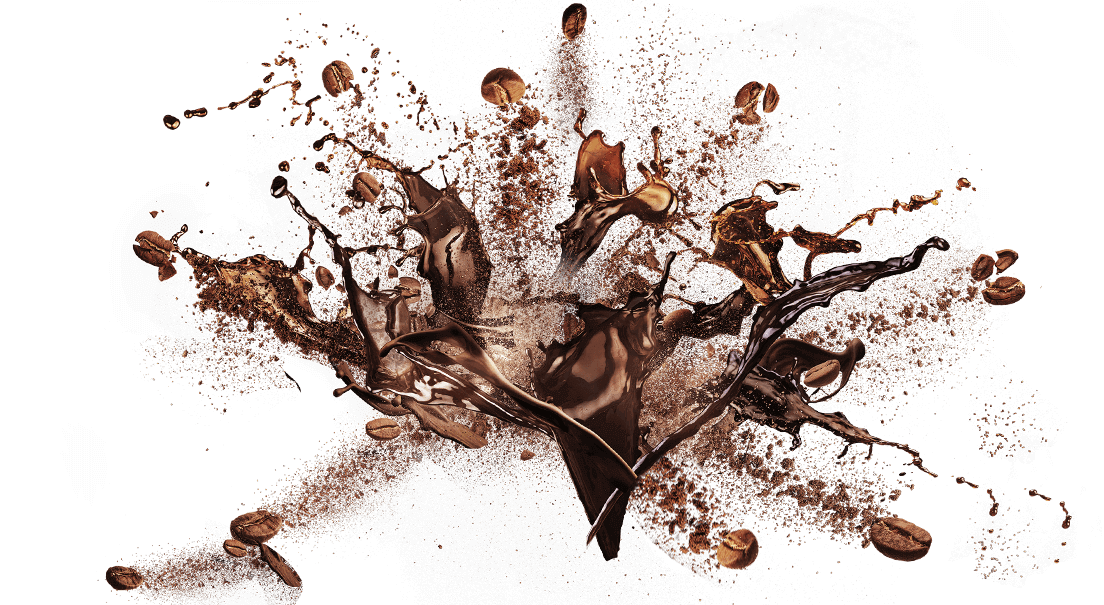 Dark Coffee Tree Branch And Foliage Silhouette Transparent PNG Artwork