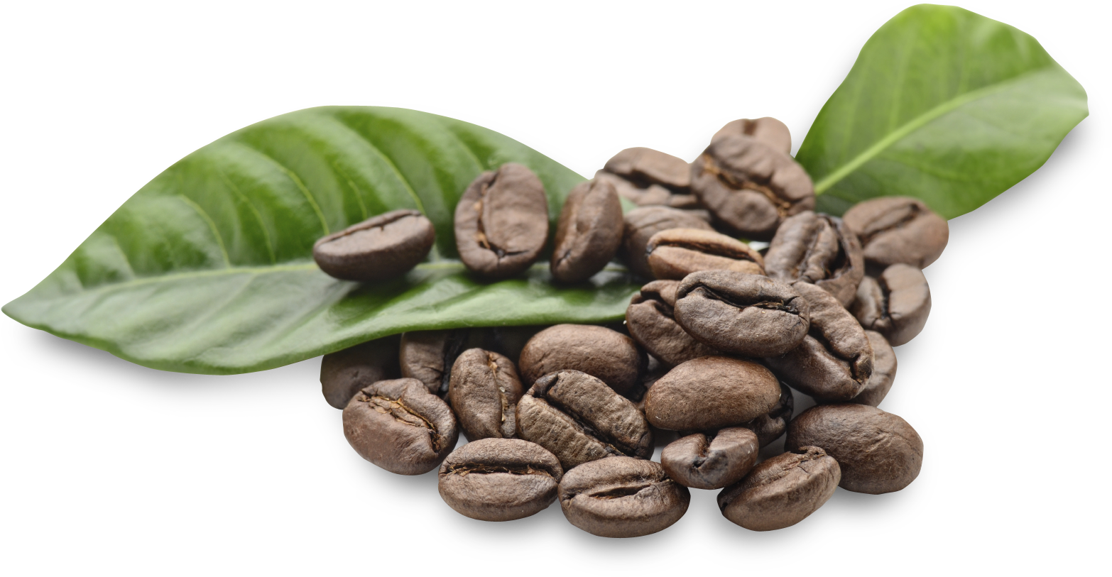 Five Flat Coffee Bean Icons In Dark Brown Transparent Background PNG