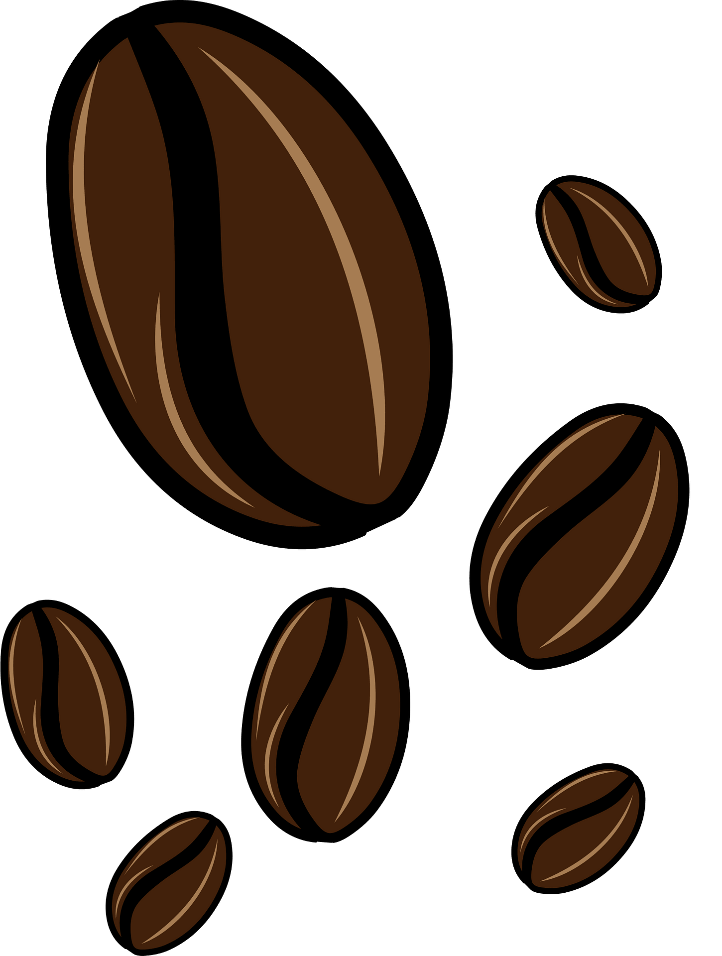 Flat Coffee Bean Illustrations On Dark Teal Background PNG Artwork