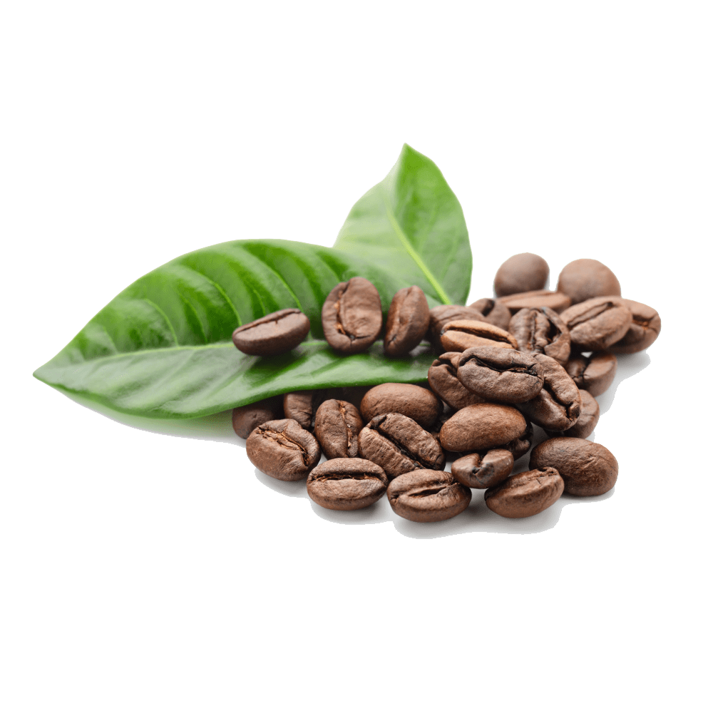 Green Coffee Leaves And Roasted Beans On Black Background PNG Image