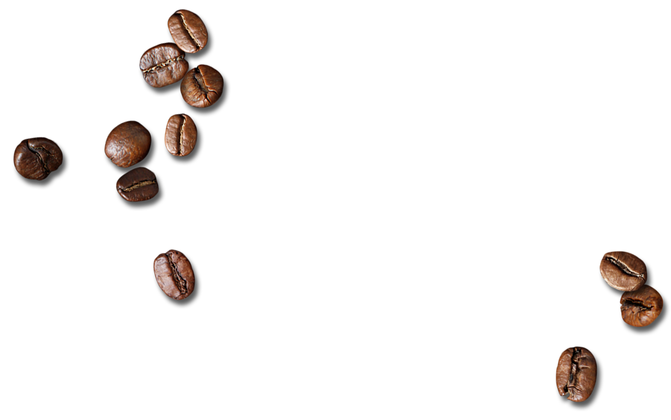 Individual Roasted Coffee Beans Scattered Far Apart PNG Image
