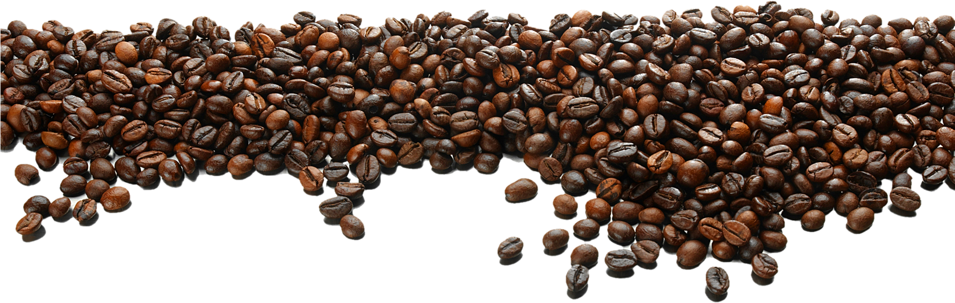 Long Horizontal Border Of Coffee Beans Spilling Down PNG Graphic