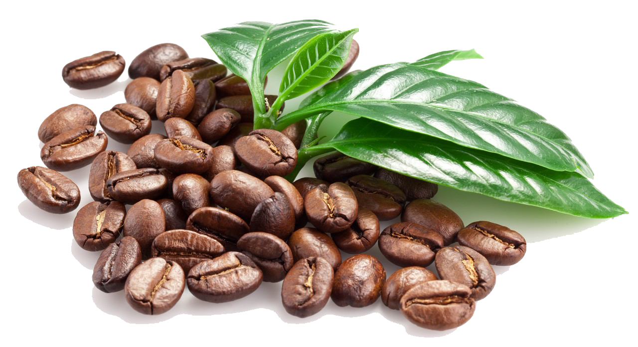 Roasted Coffee Beans With Green Coffee Leaves Botanical PNG Image