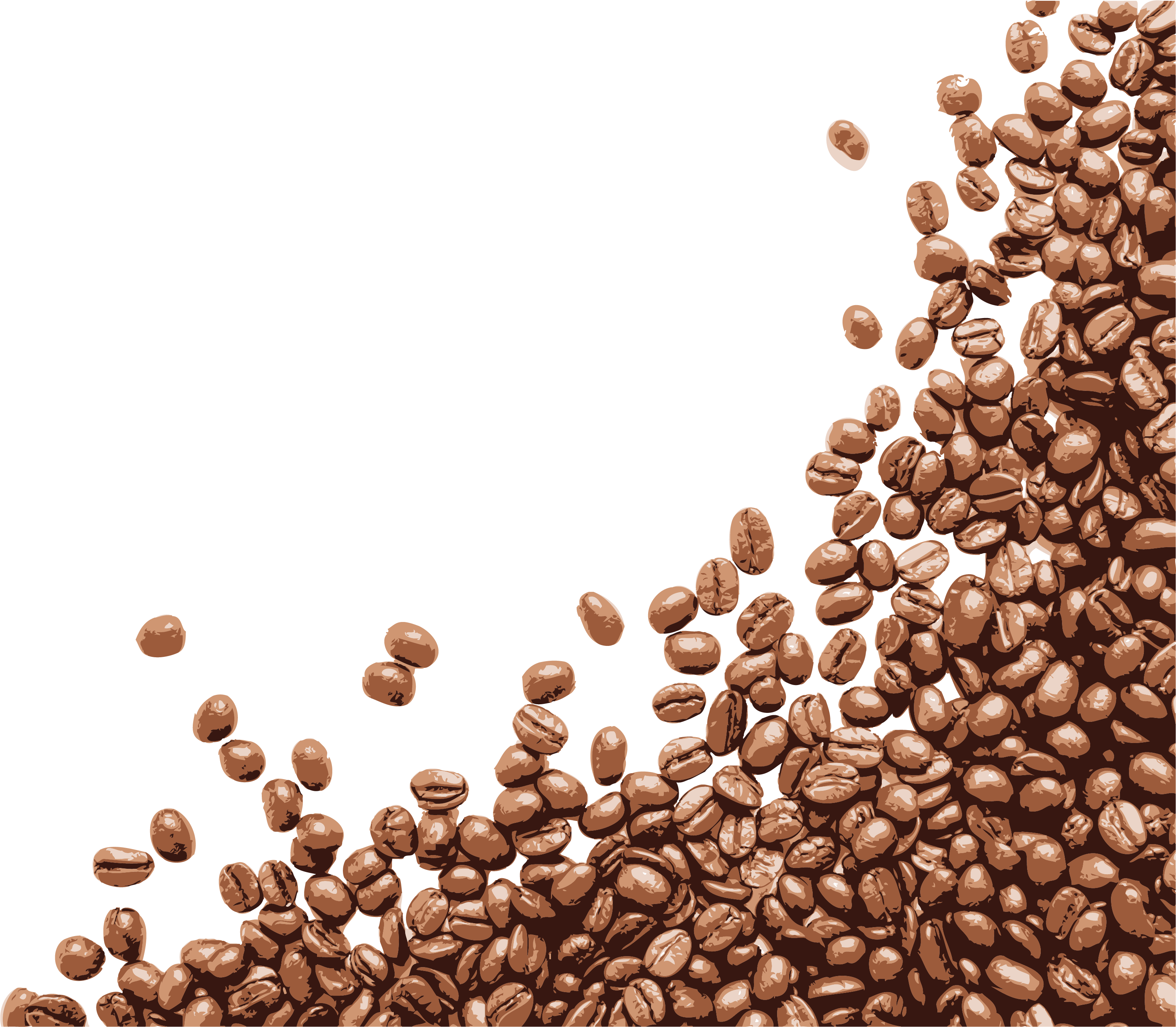 Sparse Group Of Glossy Roasted Coffee Beans Isolated PNG Graphic