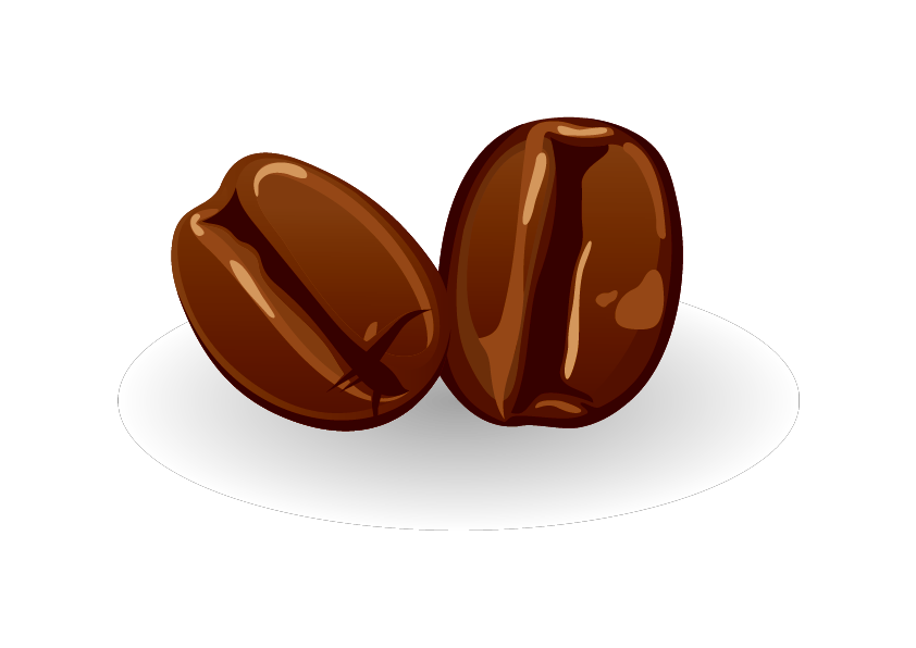 Two Glossy Coffee Beans With Soft Ground Shadow Transparent PNG