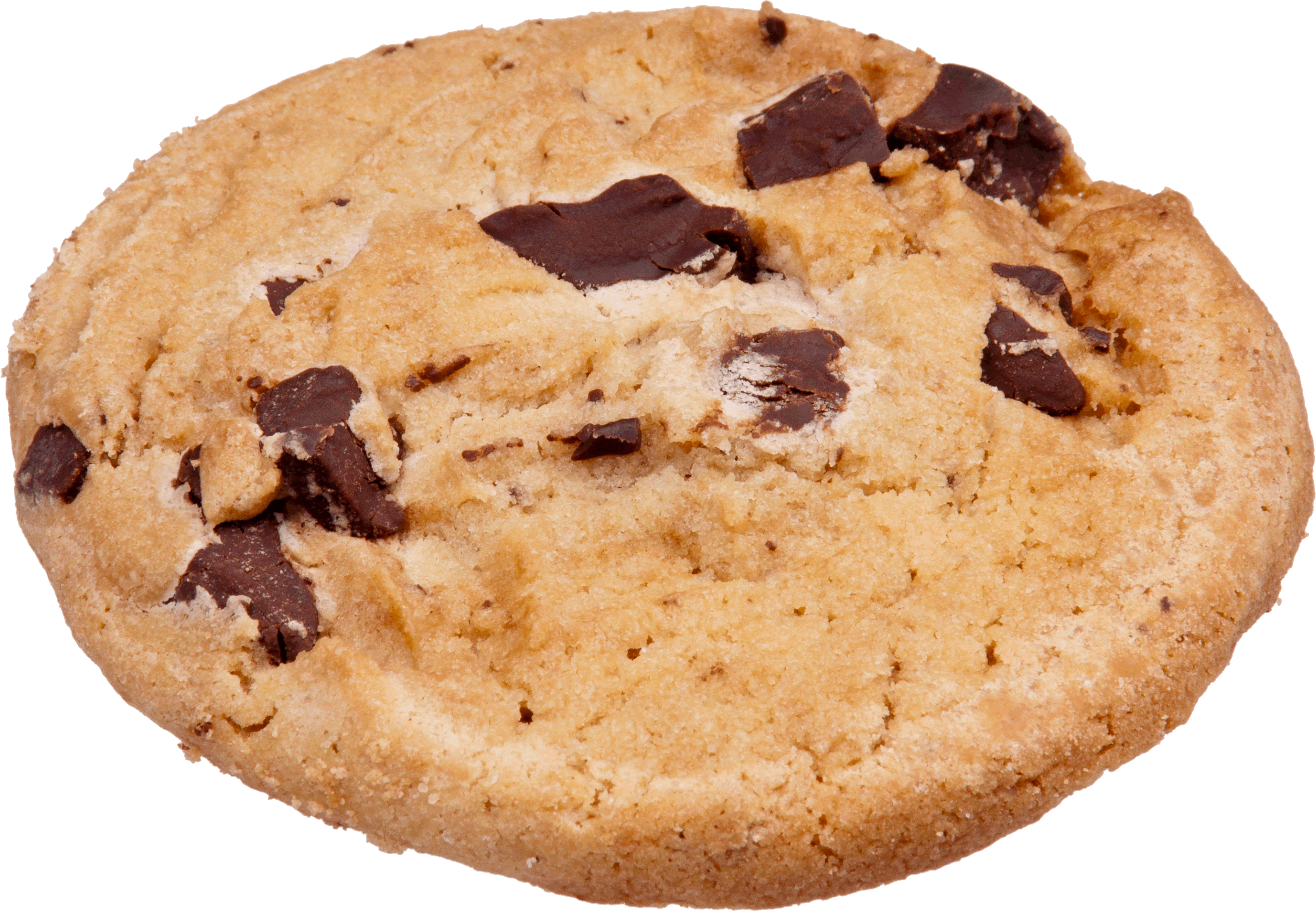 Close Up Freshly Baked Chocolate Cookie With Dark Chocolate Pieces PNG Photo