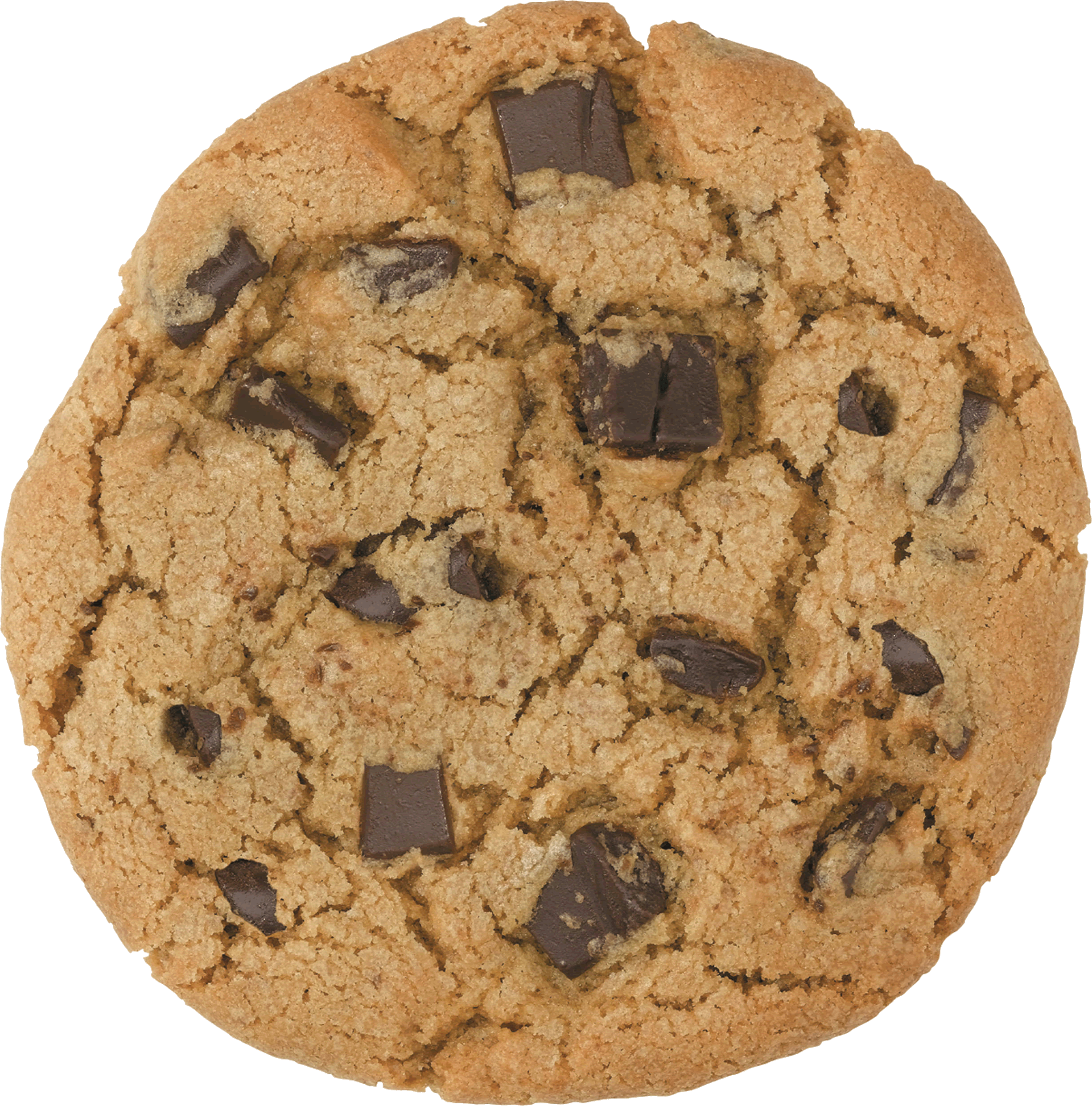 Round Oatmeal Cookie With Chocolate Chips On Light Background PNG Image