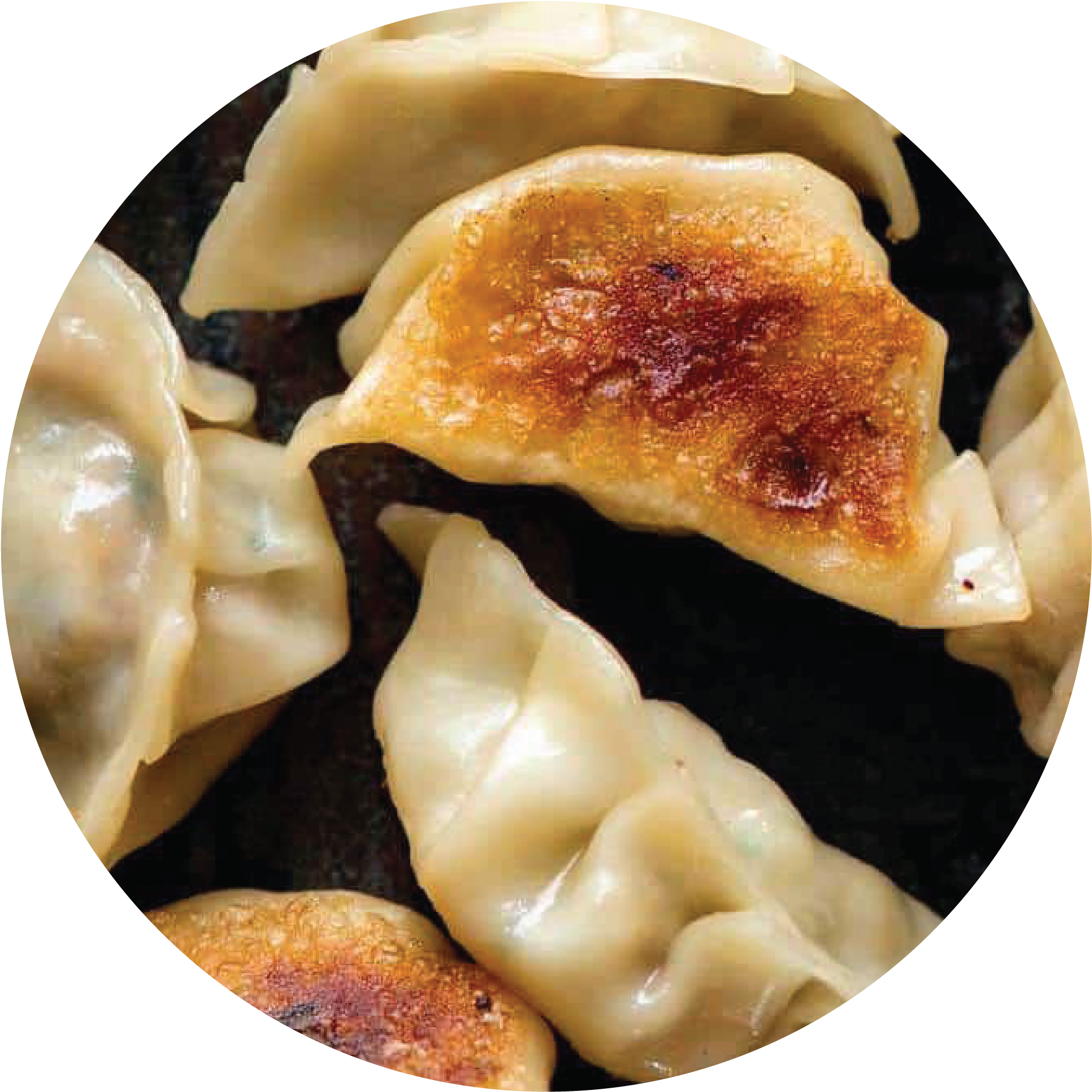 Pan Fried Dumplings With Golden Crispy Bottom Food Photo PNG