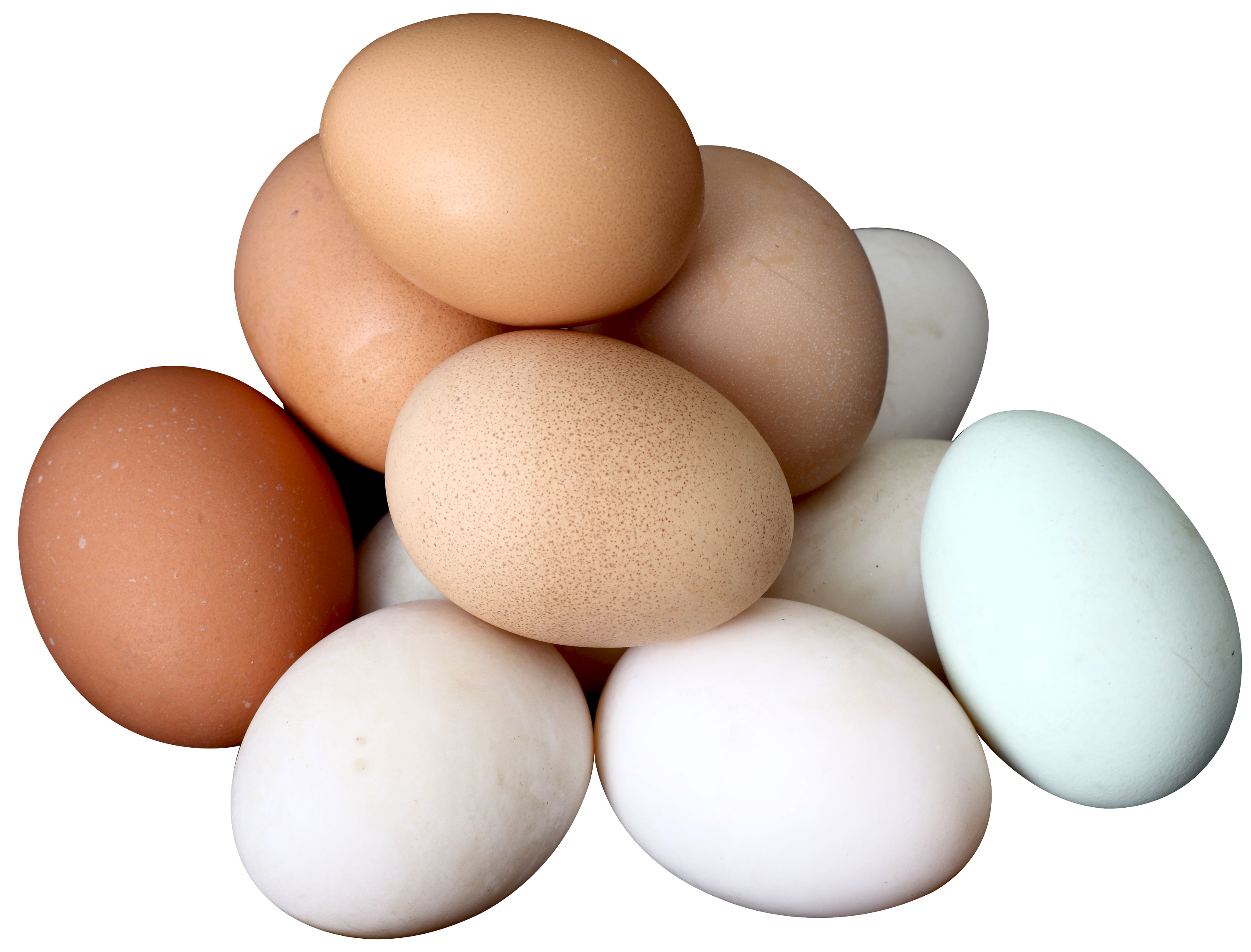 Assorted Brown White And Blue Fresh Eggs Pile PNG Clipart