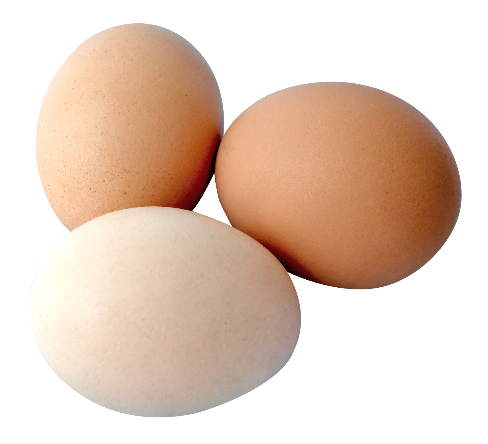 Assorted Raw Brown And White Eggs Group Isolated PNG Clipart