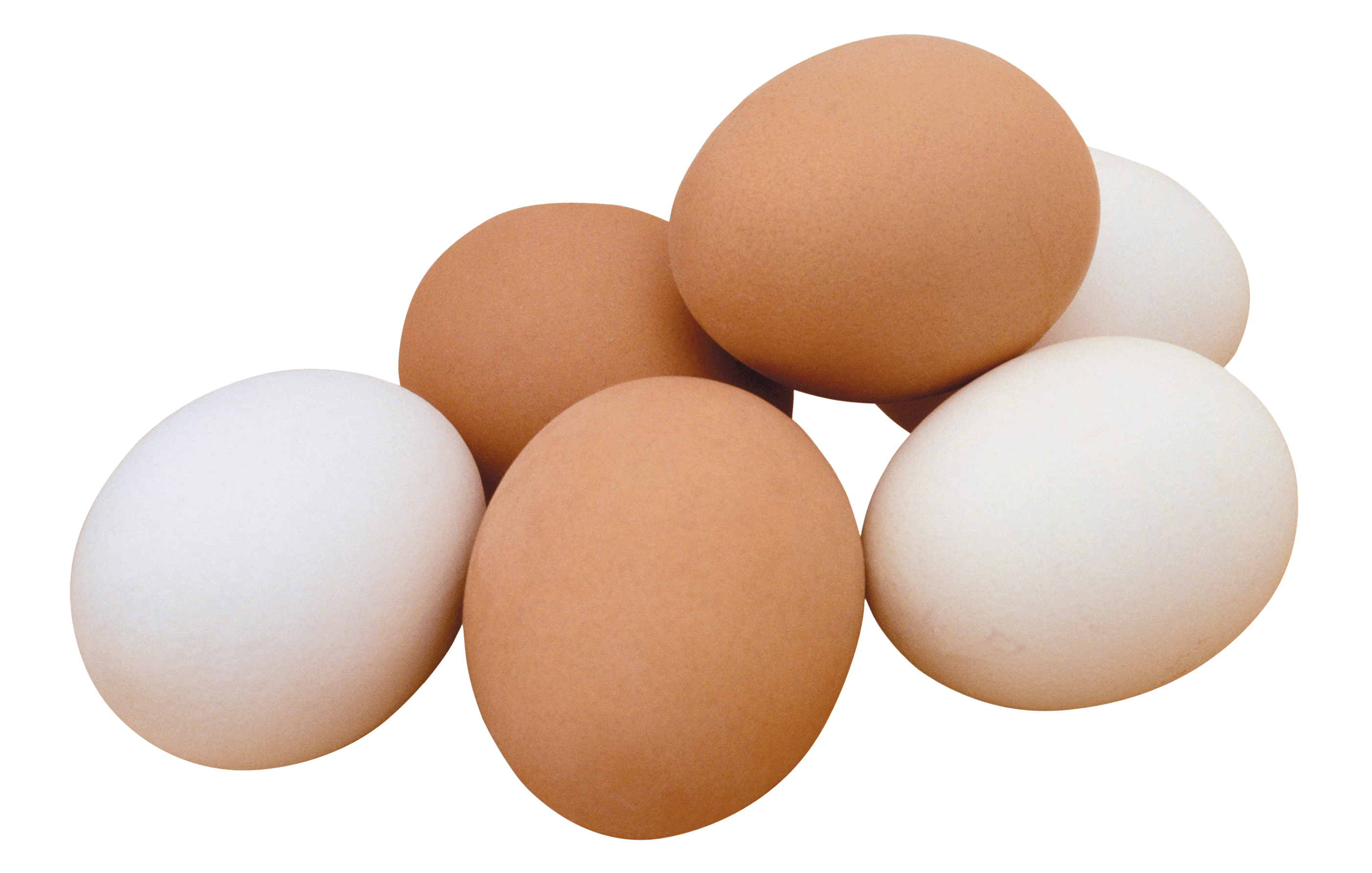 Brown And White Eggs Group On Black Background Product PNG Photo