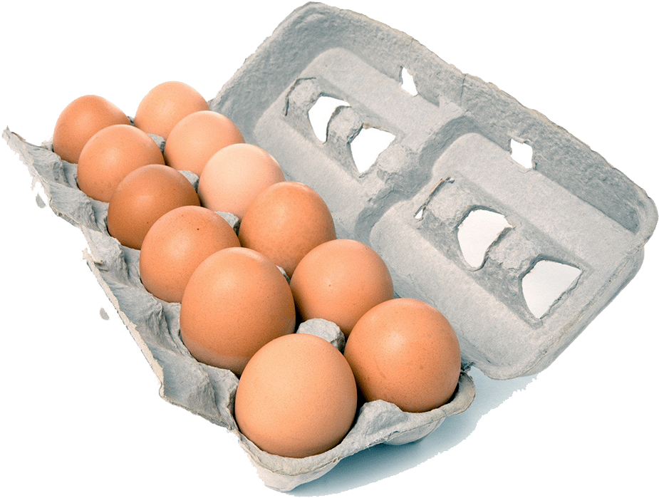 Fresh Brown Eggs Arranged In Open Gray Pulp Carton PNG Product Image