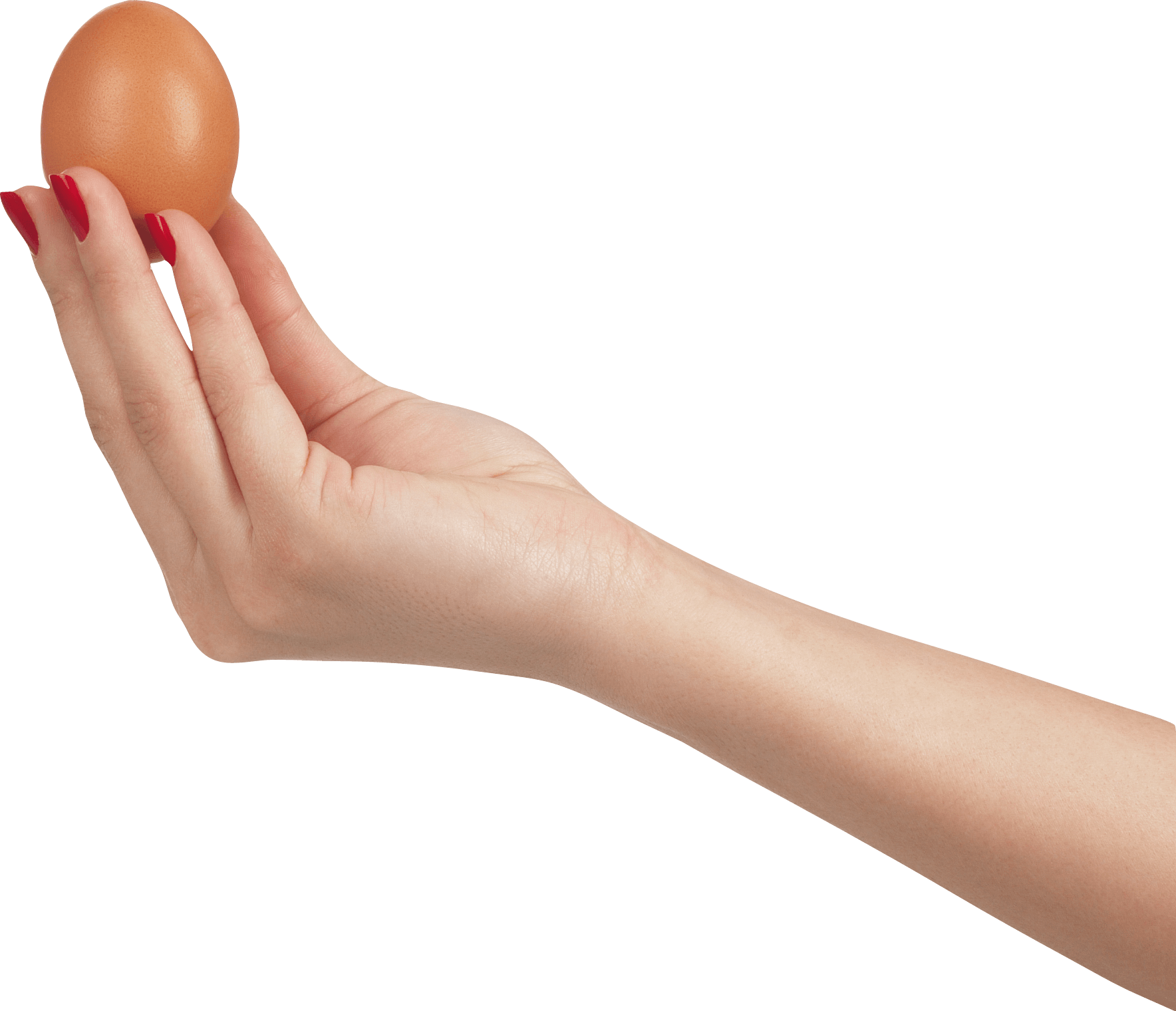 Hand Holding A Fresh Brown Egg Isolated On Dark Background PNG Photo