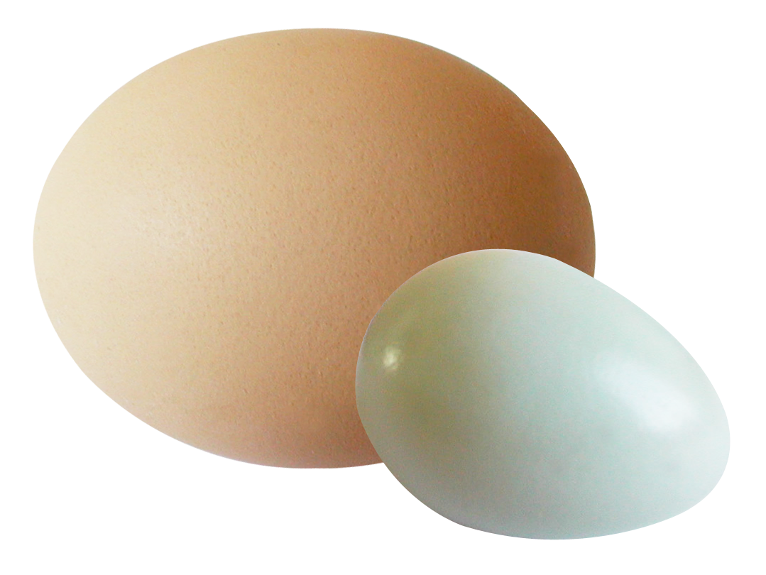 Large Brown Egg And Pale Blue Egg Pair Isolated PNG Image