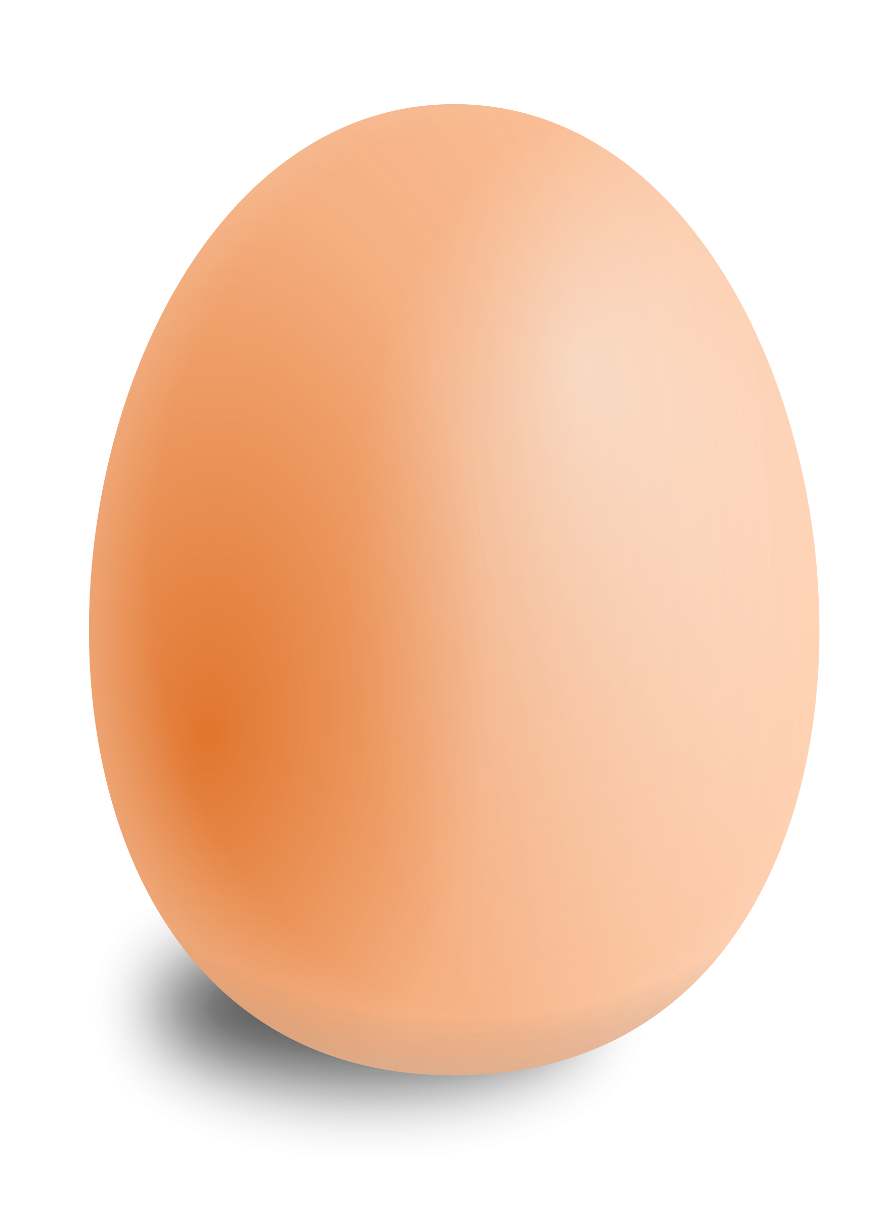 Single Brown Chicken Egg Isolated Transparent Background PNG Photo