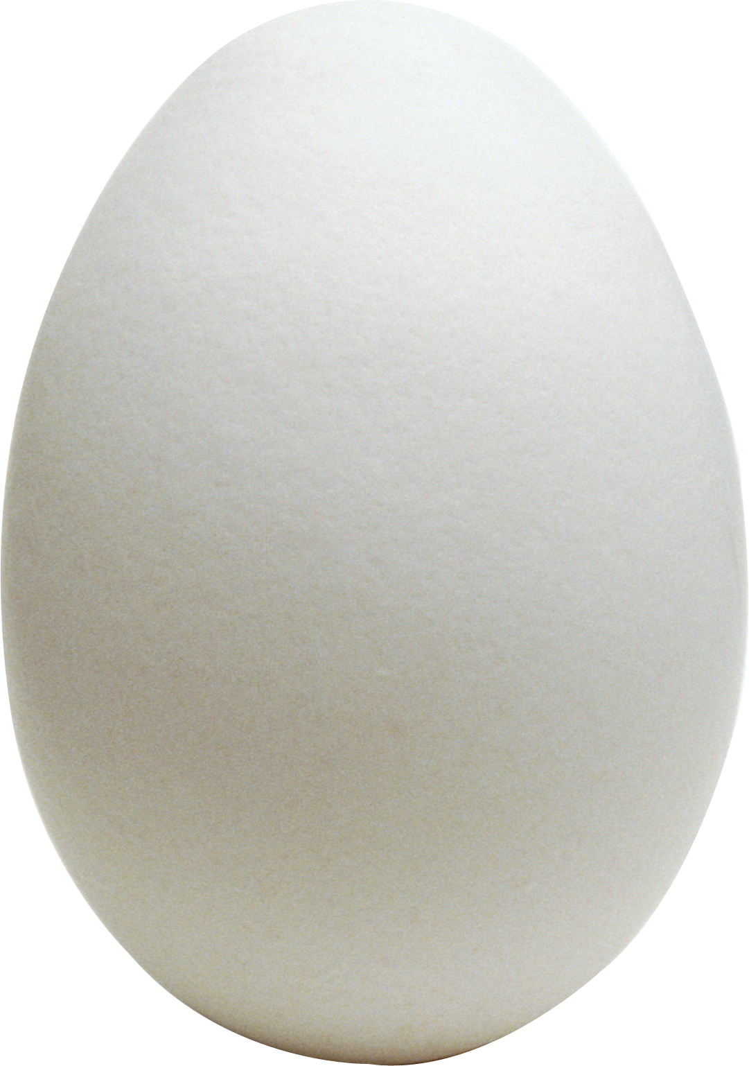 Single White Egg Isolated Transparent Background PNG Product Image
