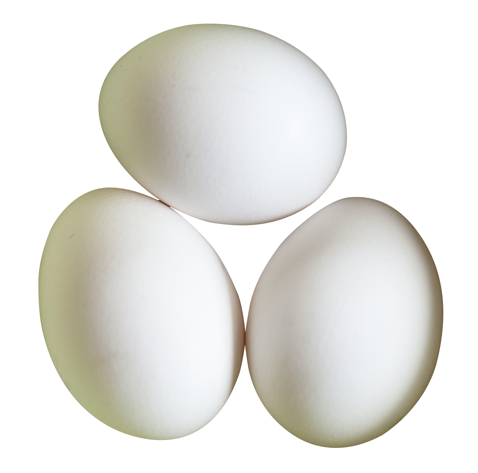 Three Clean White Chicken Eggs Isolated On White PNG Clipart