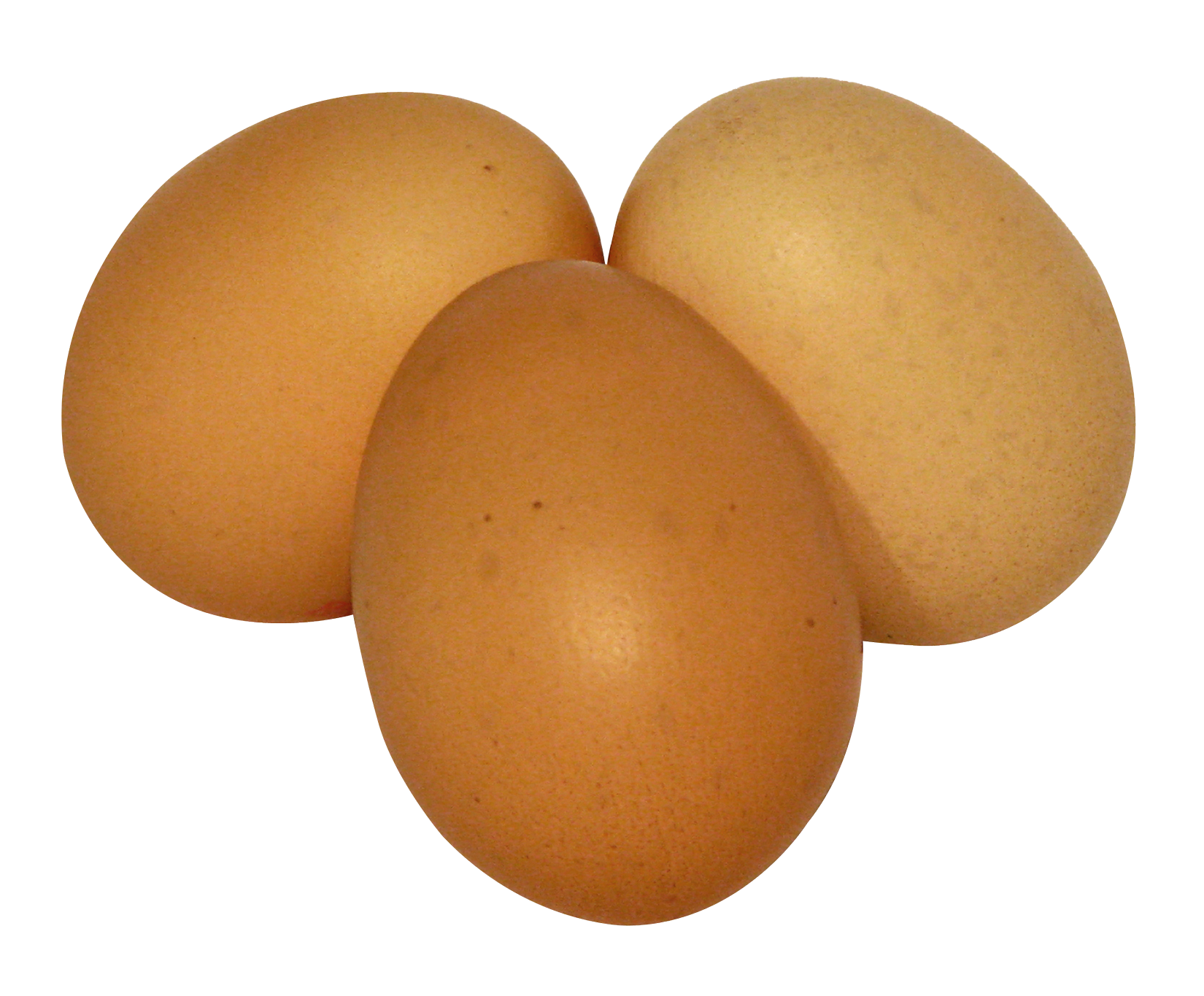 Three Fresh Brown Chicken Eggs On White Background Transparent PNG