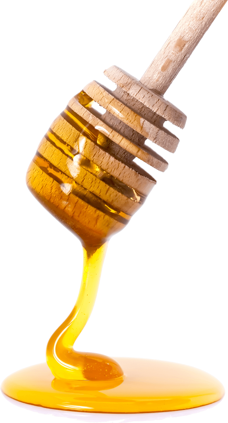 Close Up Honey Dipper with Single Golden Dripping Drop Transparent Background PNG