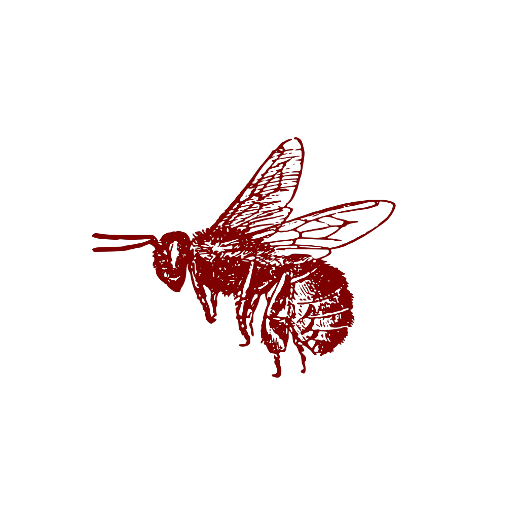 Fine Line Sketch of Flying Honey Bee with Detailed Wings Transparent PNG Illustration