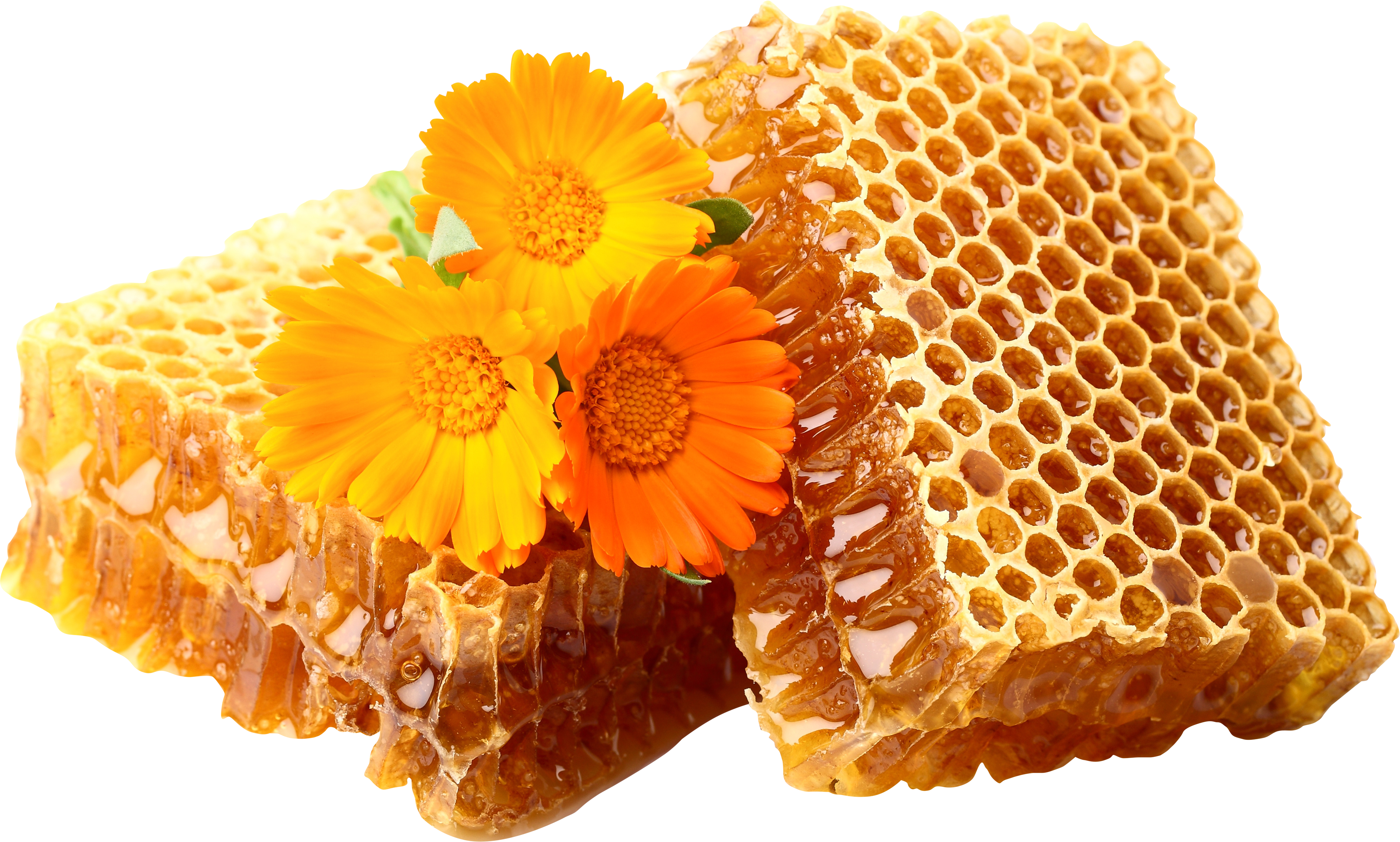 Fresh Golden Honeycomb Chunks with Yellow Wildflowers Transparent Background PNG Image