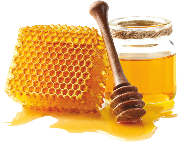 Glass Jar of Honey with Honeycomb Chunks and Wooden Dipper PNG Food Product Image