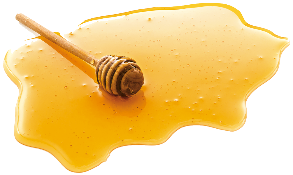 Glossy Golden Honey Spill Puddle Isolated Transparent Background PNG Food Image