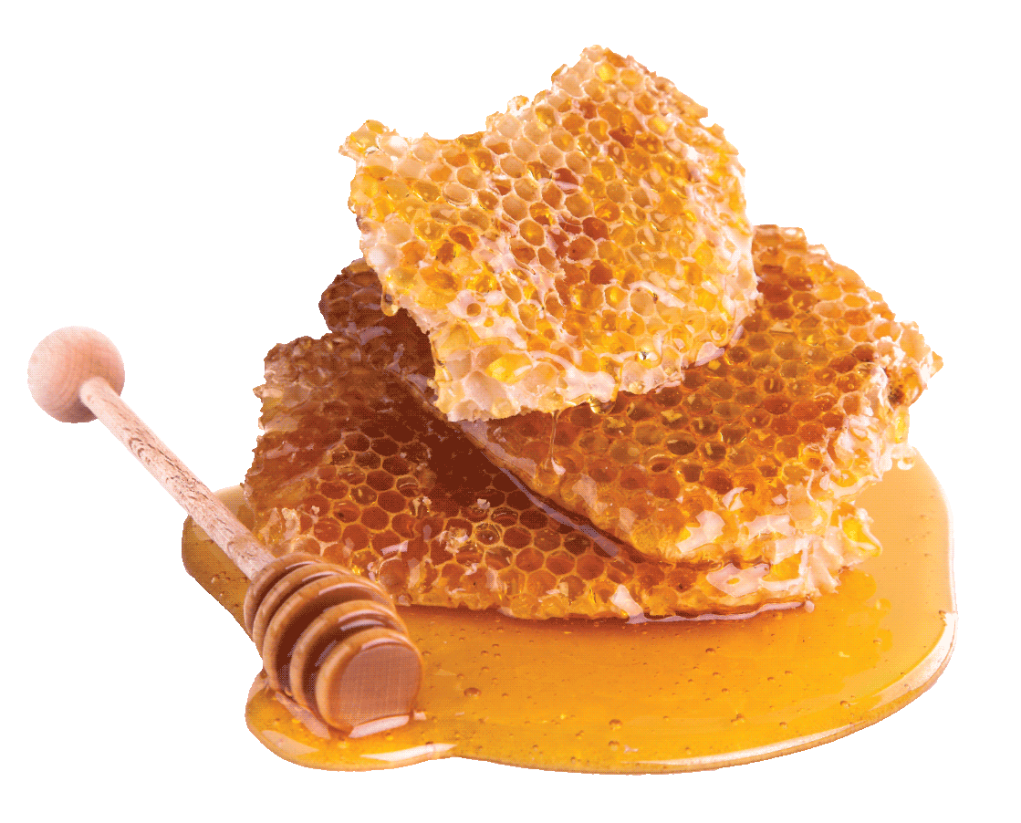 Golden Honey Drizzled over Crunchy Biscuits with Honeycomb and Dipper PNG Food Image