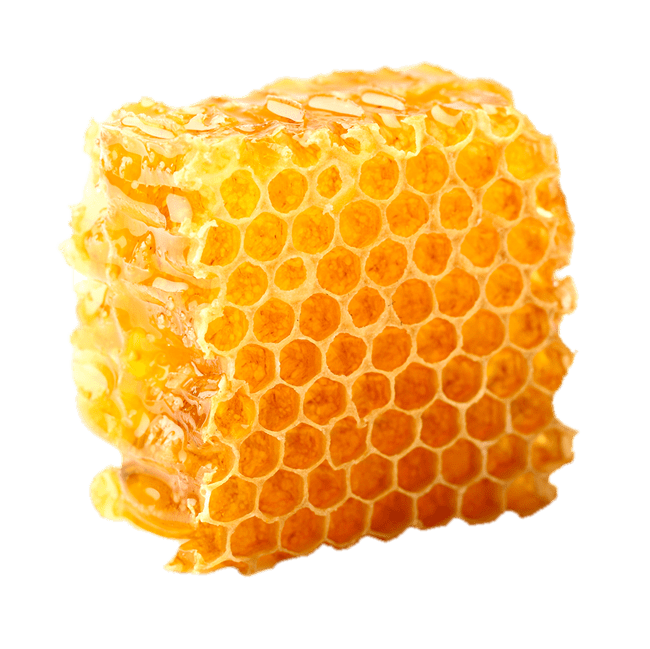 Natural Golden Honeycomb Slab Isolated on Transparent Background PNG Cutout