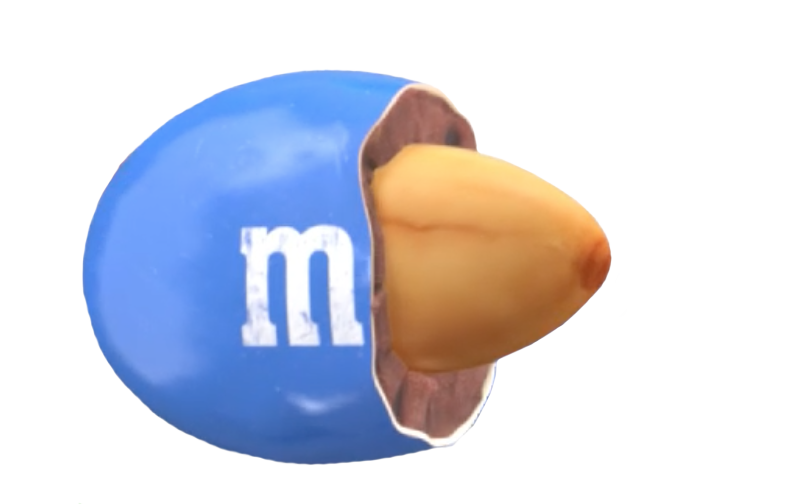 Blue Chocolate Candy Cutaway Showing Whole Peanut Center PNG Food Illustration
