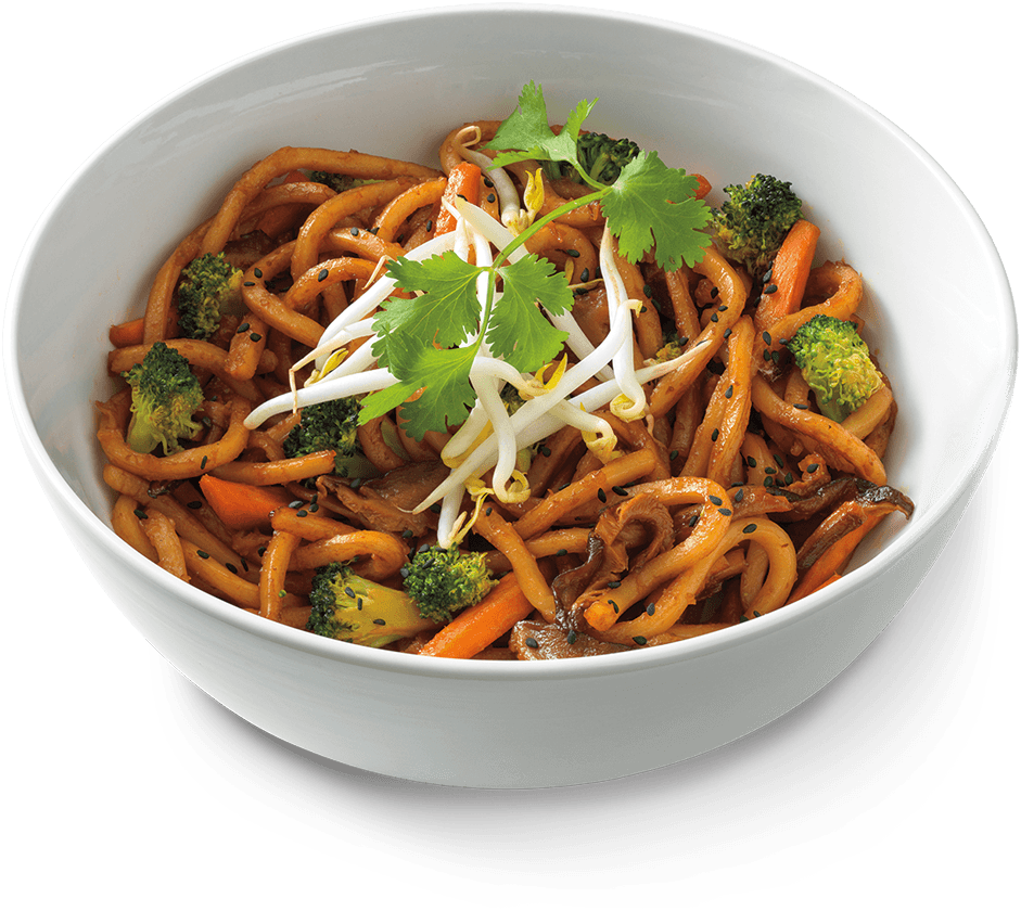 Vegetable Chow Mein with Bean Sprouts in White Serving Dish PNG Food Photo