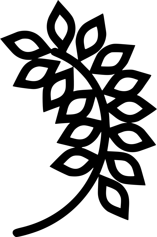 Black Outline Illustration of Wheat and Oat Grain Stalks Transparent PNG Icon