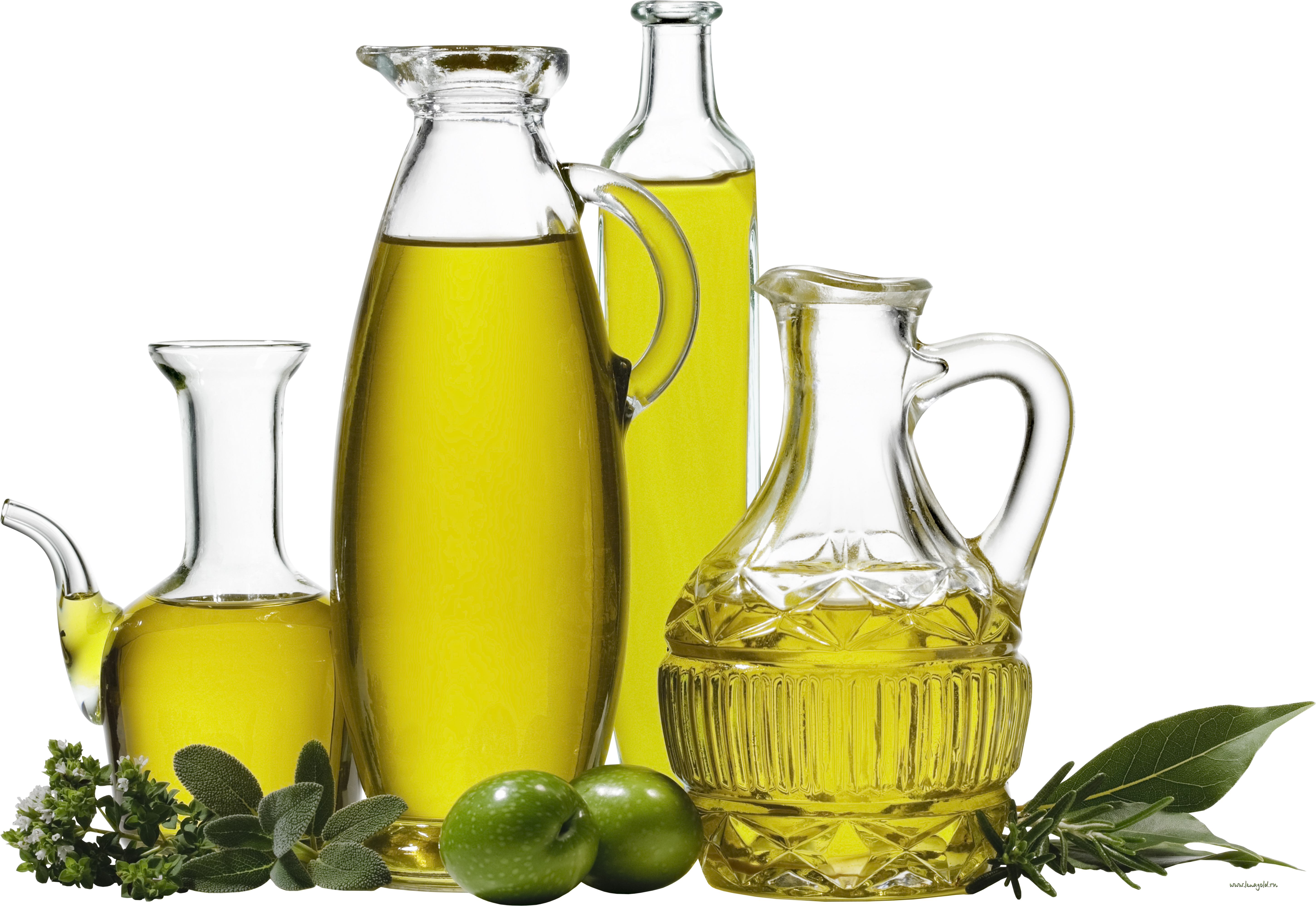 Assorted Olive Oil Cruets Bottles and Fresh Olives Transparent PNG Image
