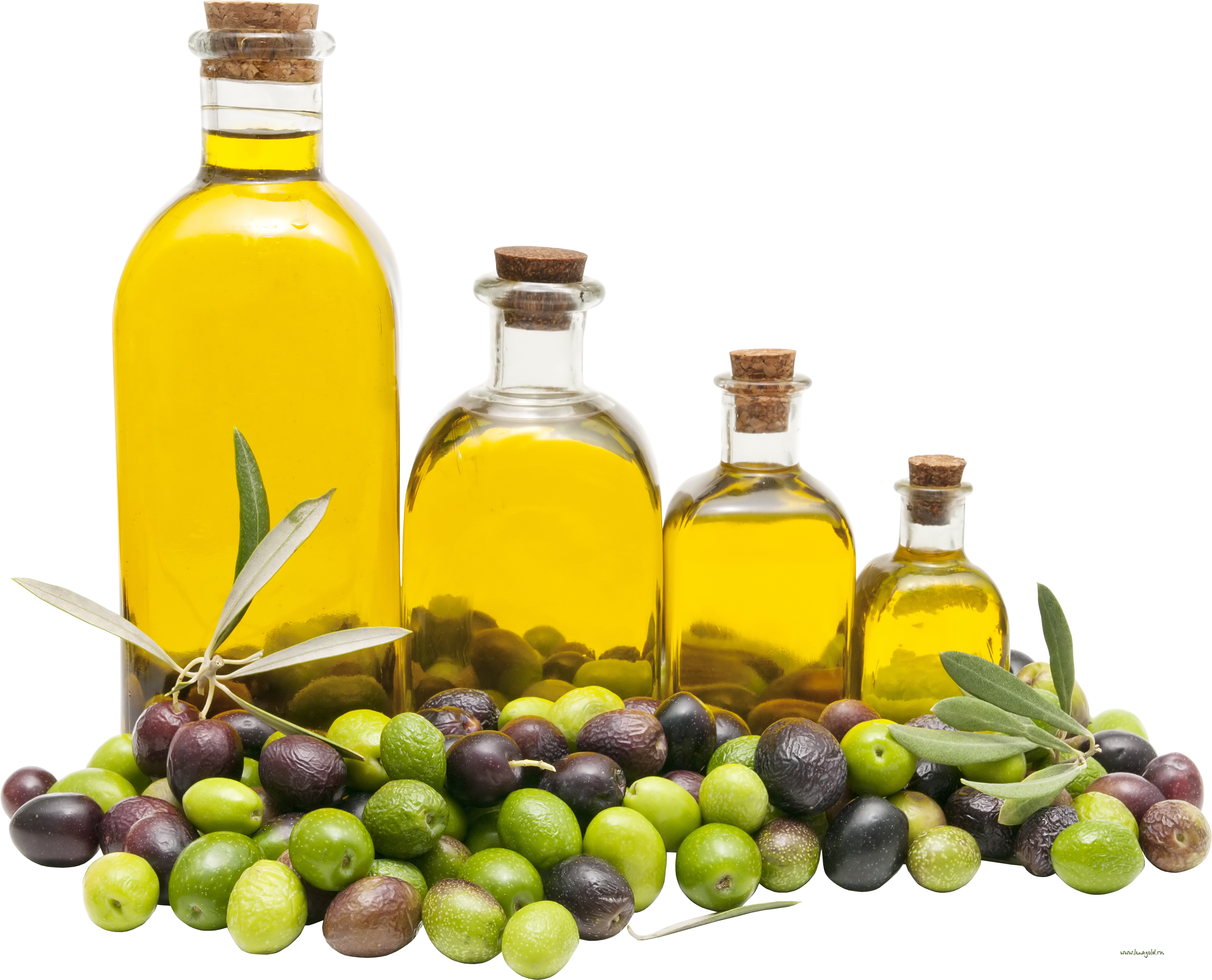 Golden Olive Oil Bottle Surrounded by Fresh Green Olives and Leaves PNG Image