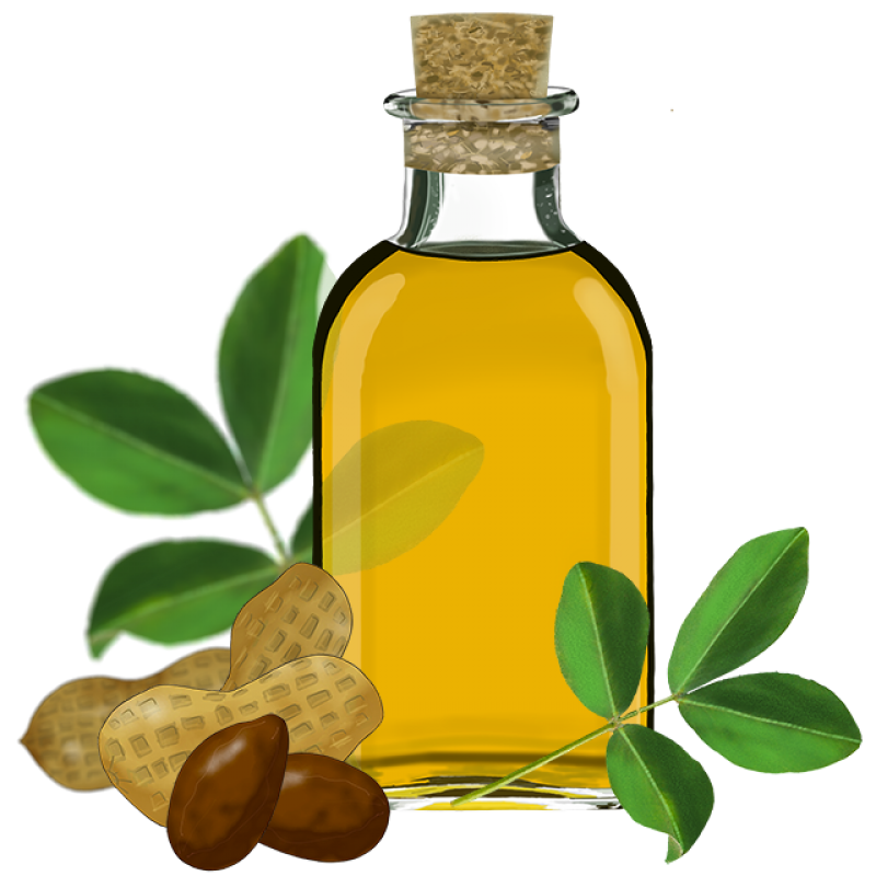 Golden Olive Oil Bottle with Green Leaves and Whole Olives PNG Image
