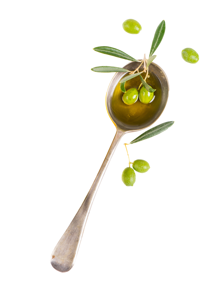 Green Olive on a Branch with Fresh Leaves Transparent PNG Graphic