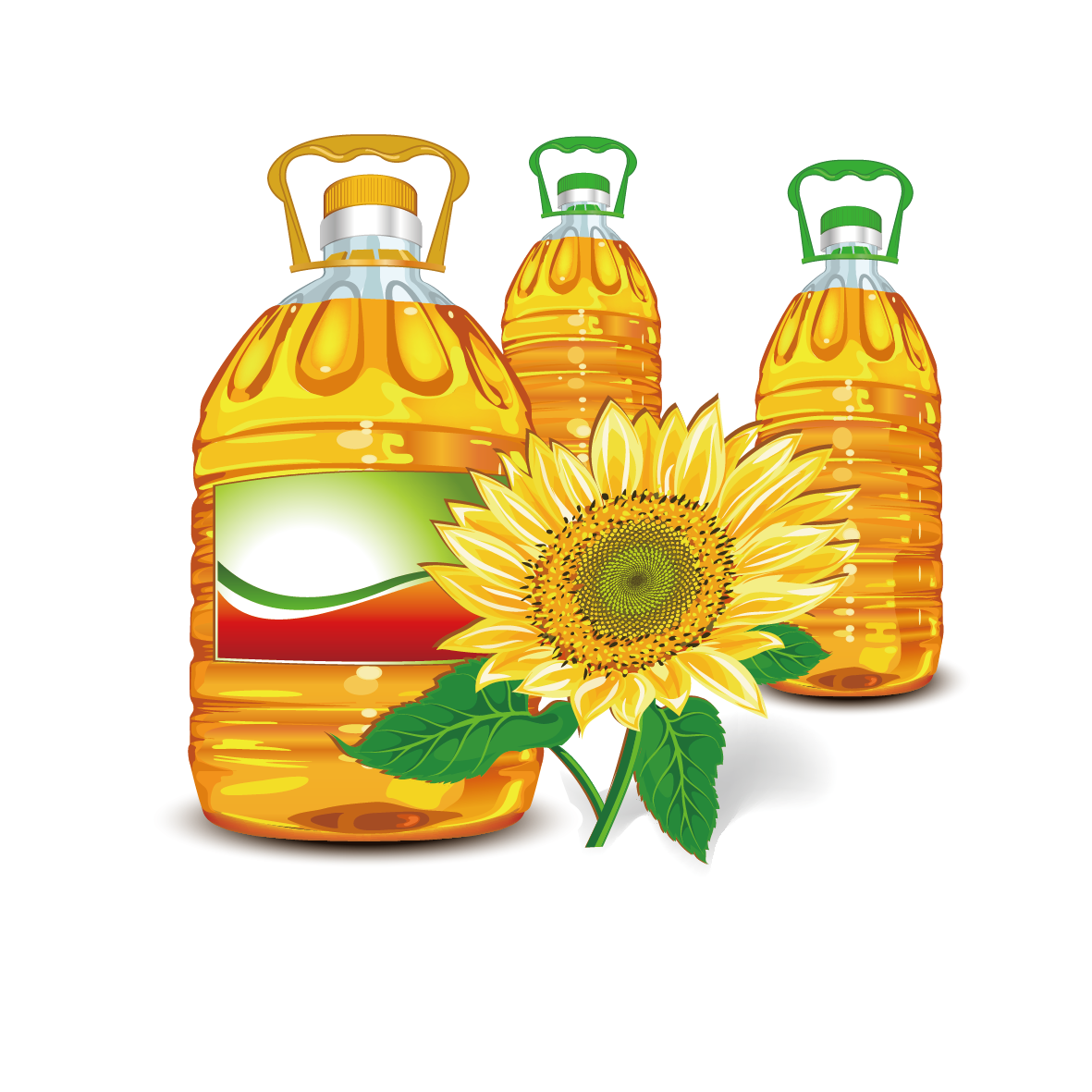 Three Golden Cooking Oil Bottles with Sunflower and Citrus Decoration PNG Image