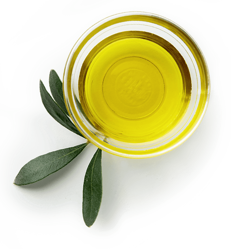 Top View Bowl of Golden Olive Oil with Fresh Green Olive Leaves PNG Image
