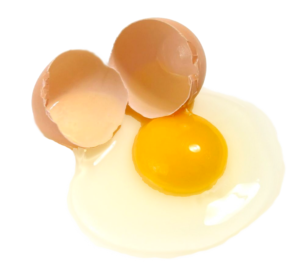 Cracked Brown Egg with Bright Yellow Yolk Cutout PNG Illustration