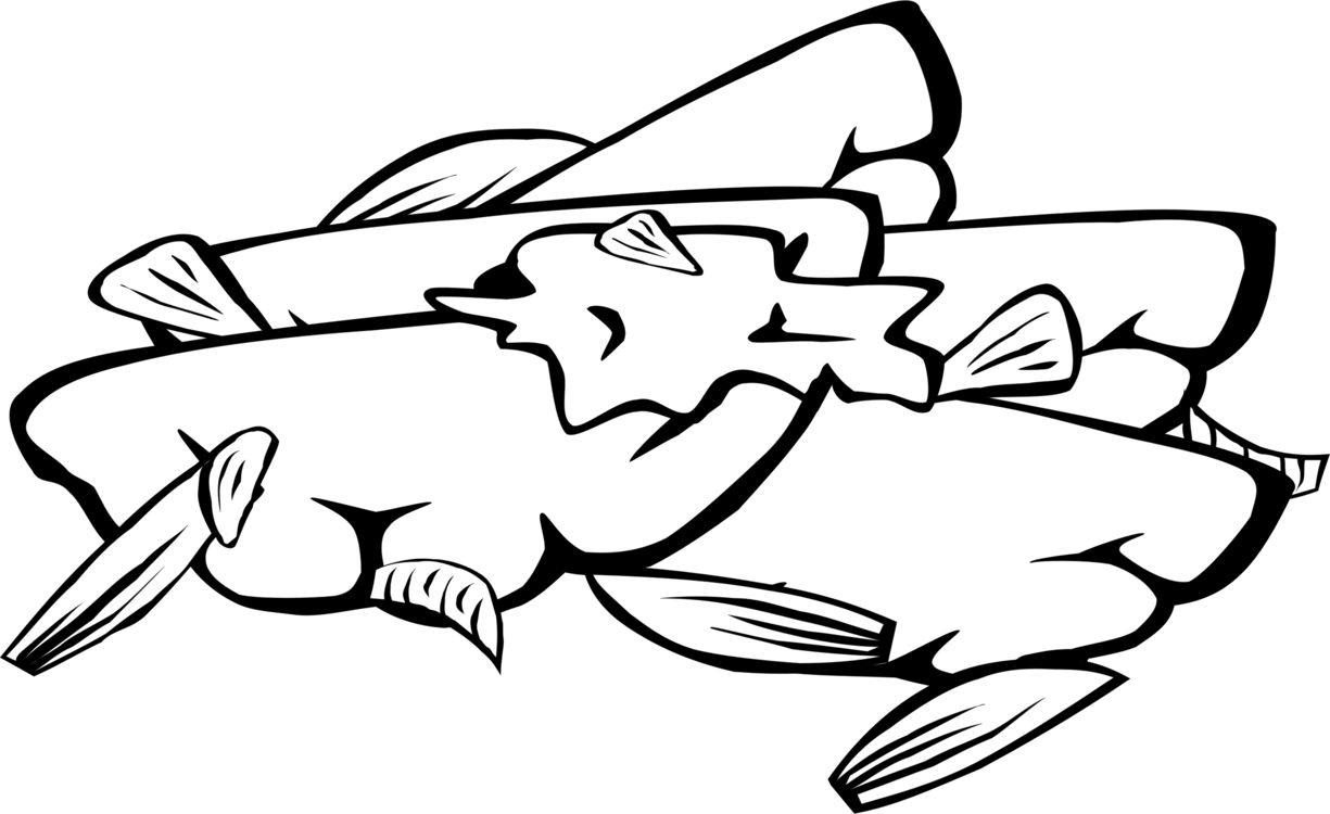 Black and White Line Drawing of Several Fish for Coloring PNG Graphic